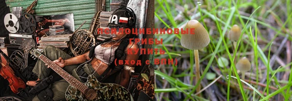 спайс Ладушкин