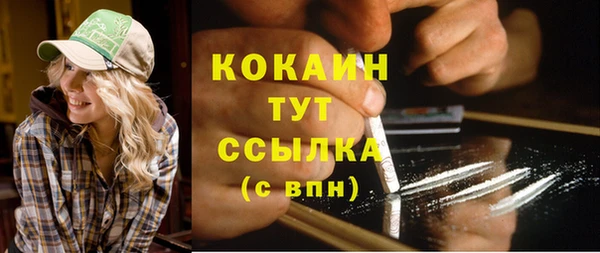 спайс Ладушкин