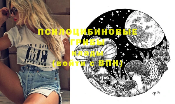 дживик Лабытнанги