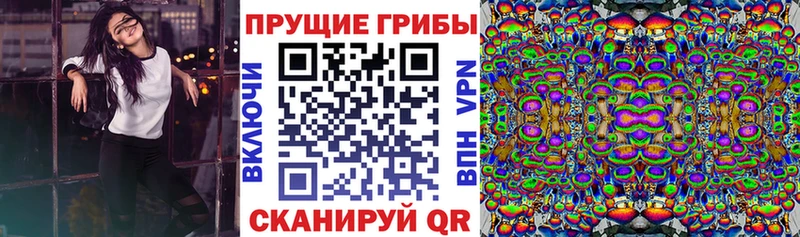 Галлюциногенные грибы GOLDEN TEACHER  купить  цена  Чулым 